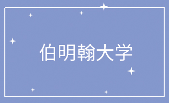 伯明翰大学Offer