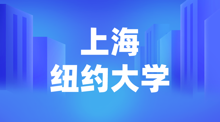 上海纽约大学Offer