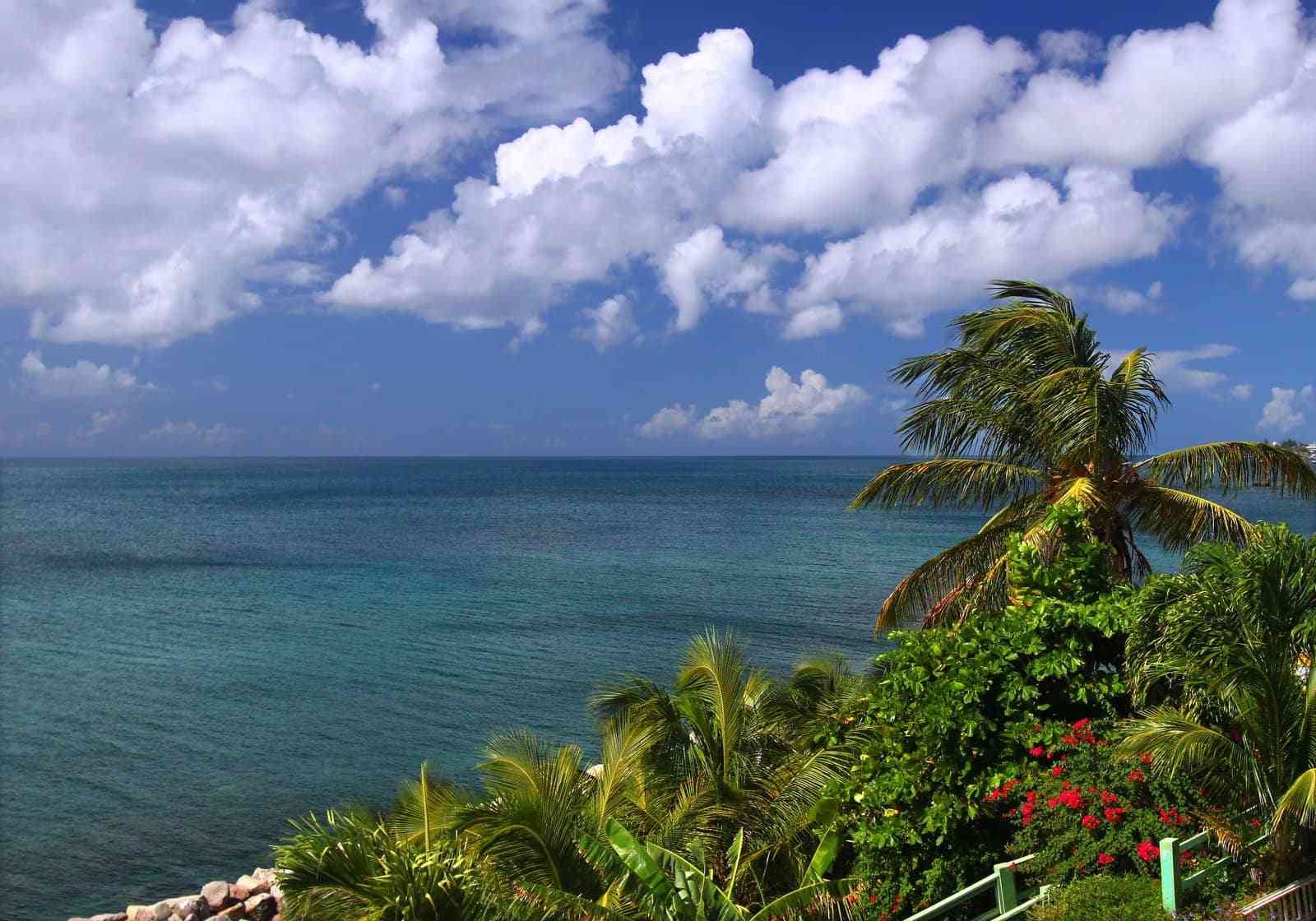 四本加勒比岛国护照优缺点！