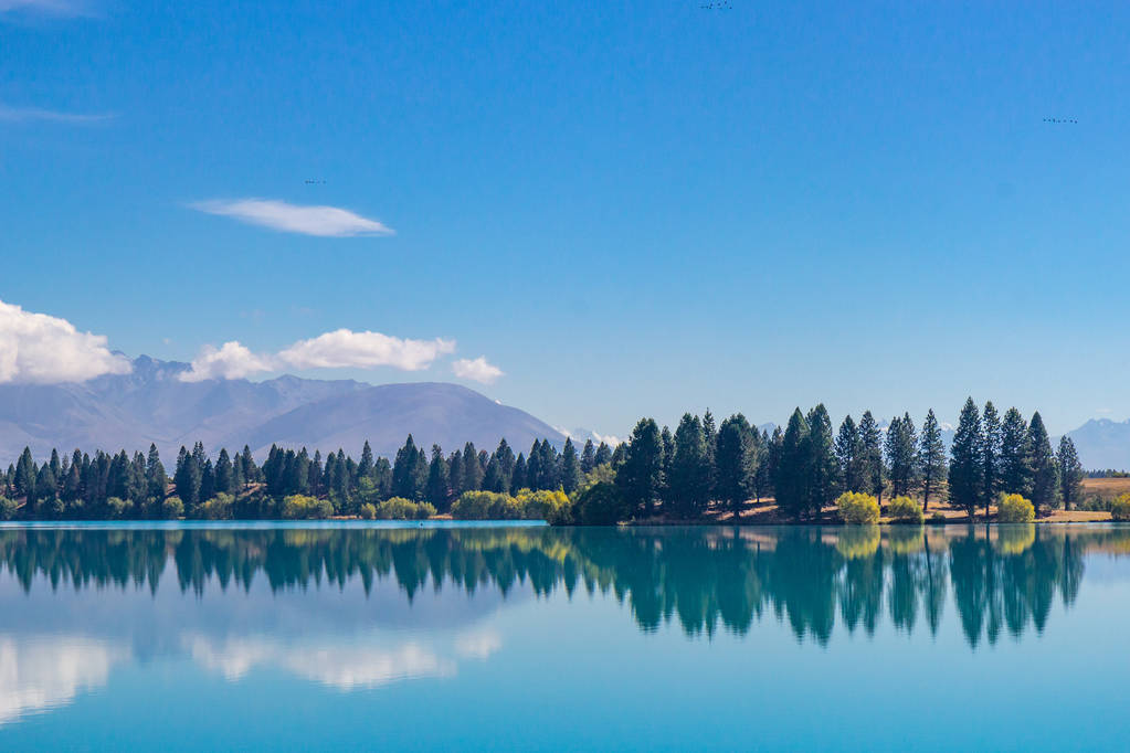 留学新西兰迎来“黄金窗口期”