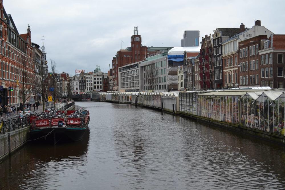 全方位了解荷兰留学