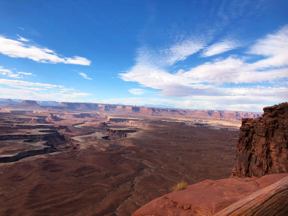 美国本科：不靠标化也能进的4所名校