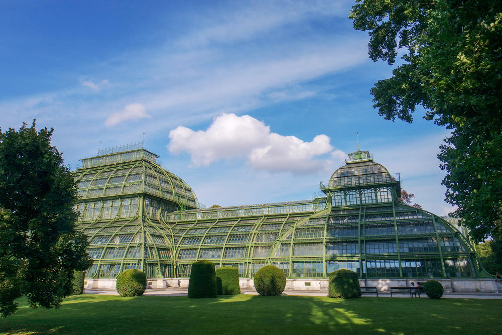 高考成绩直申荷兰本科！