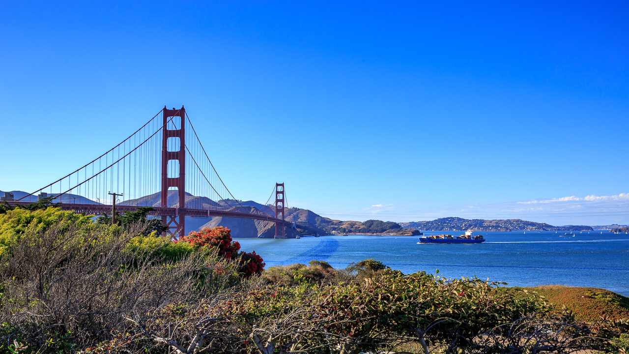 2026留学新趋势：留学生如何把握新机遇？